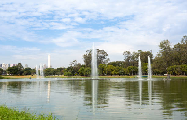 istock Ibirapuera Park completely empty due to coronavirus quarantine (COVID-19) 1223261811