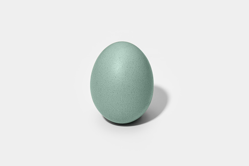 Araucana egg isolated on white background. Blue or green eggs from Araucana chicken