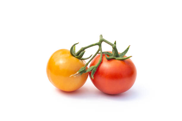 istock ORGANIC TOMATO HARVEST ON TERRACE GARDEN 1223267973