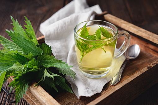 Healthy medicinal drink, nettle tea in a glass cup, decorated with fresh leaves