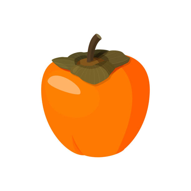 istock Bright vector illustration of colorful whole persimmon. Fresh cartoon persimmon isolated on white background. 1223269145