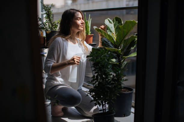 istock Woman watering houseplants 1223269454