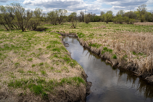 Wetlands and marsh of Elm Creek Park Reserve in Maple Grove, Minnesota in the springtime