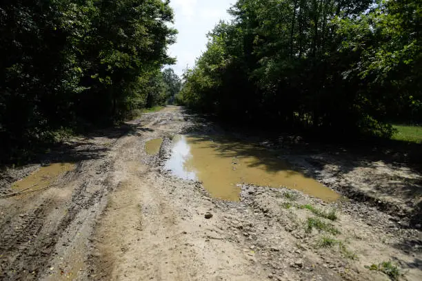 A large puddle on a dirt country road.
