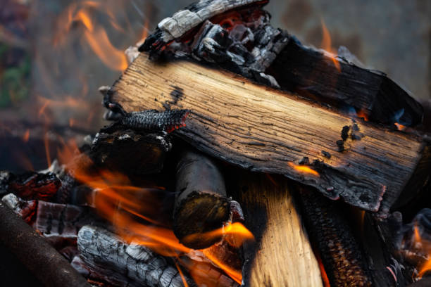 istock burning firewood engulfed in flames of a fire 1223271340