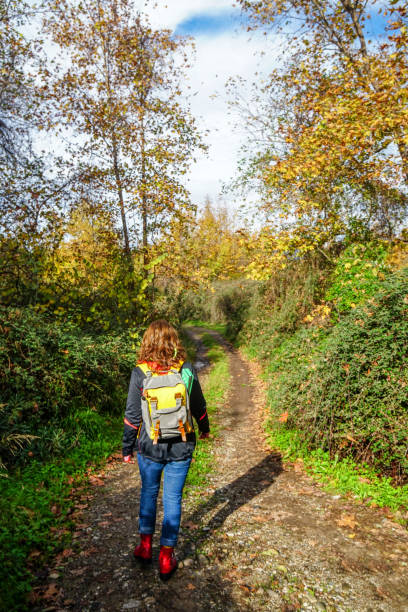 istock woman walking on the path. 1223271410