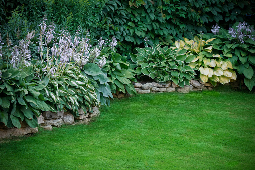 Adorable naughty cupid sculpture in a  freshly green garden