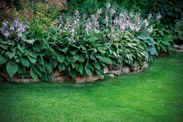 istock Beautiful garden with trees, lawn with green grass 1223273670