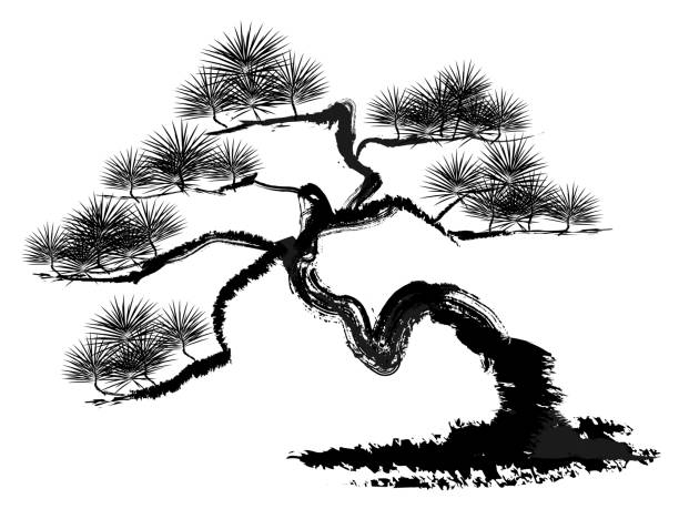 illustrations, cliparts, dessins animés et icônes de illustration de vecteur de pin. - bonsaï