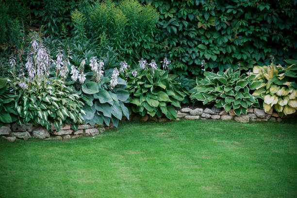 istock Beautiful garden with trees, lawn with green grass 1223274006