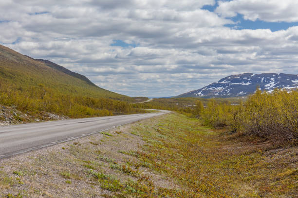 istock road passing in a valley between mountains in Sweden, selective focus 1223274377