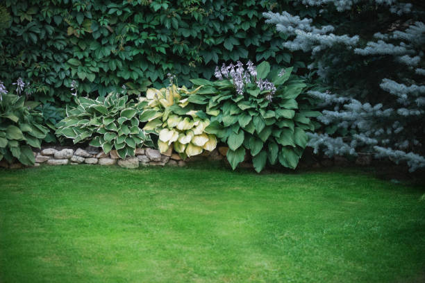 istock Beautiful garden with trees, lawn with green grass 1223275137