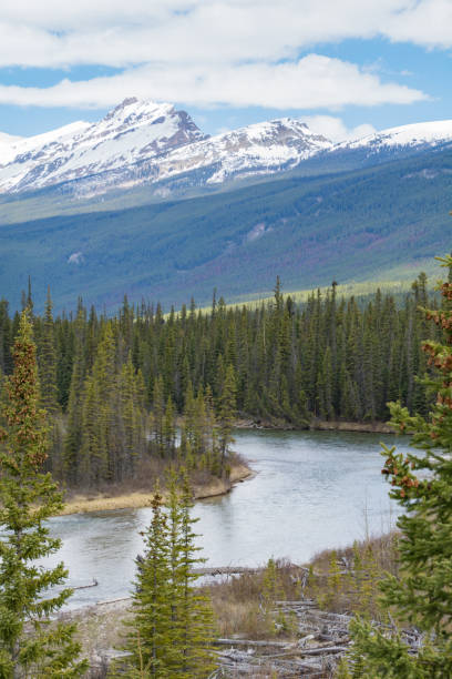 istock Banff National Park scenery 1223275178
