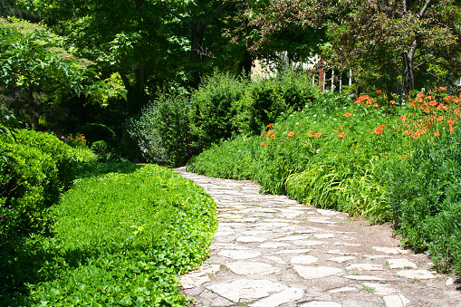 a stone path in garden