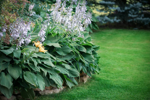 istock Beautiful garden with trees, lawn with green grass 1223276364