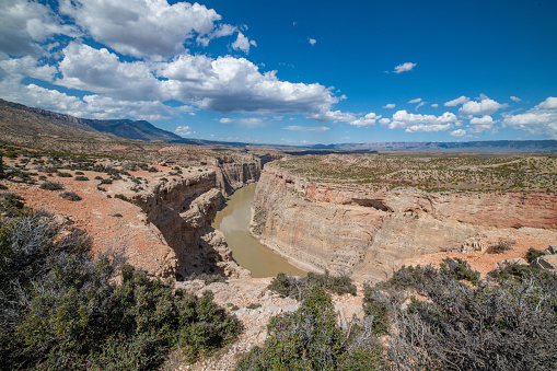 Scenic river and canyon in western USA