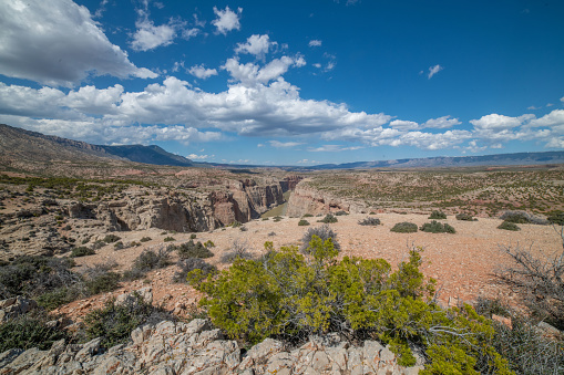 Scenic river and canyon in western USA