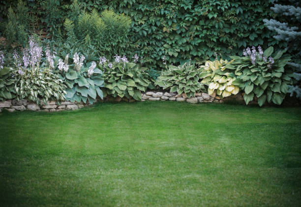 istock Beautiful garden with trees, lawn with green grass 1223277630