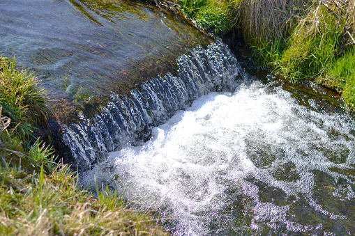 Small stream with a waterfall flows through the meadow.