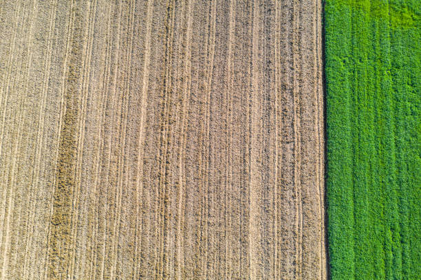 istock an agricultural landscape texture from above 1223278785