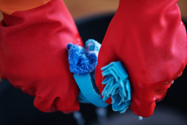istock Cleaning with the Gloves 1223278915