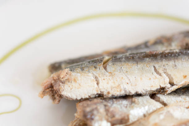 istock Marinated sardines served on the plate 1223279197