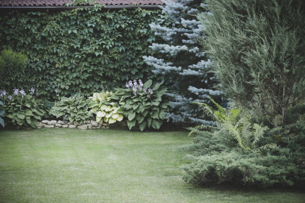 istock Beautiful garden with trees, lawn with green grass 1223279737