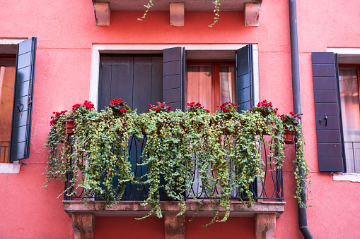 An old house in a romantic city. Colorful and beautiful\ngates made of wood. vintage door.