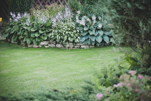 istock Beautiful garden with trees, lawn with green grass 1223280101