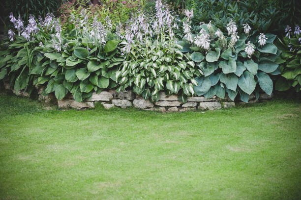 istock Beautiful garden with trees, lawn with green grass 1223280190