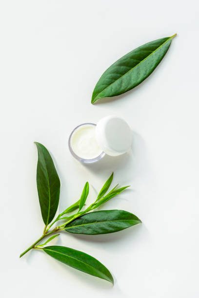 istock Face cream in white jar and green leaves, isolated 1223280239