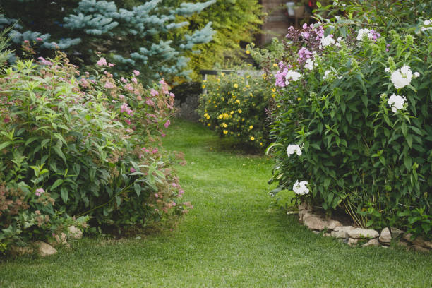 istock Beautiful garden with trees, lawn with green grass 1223281023