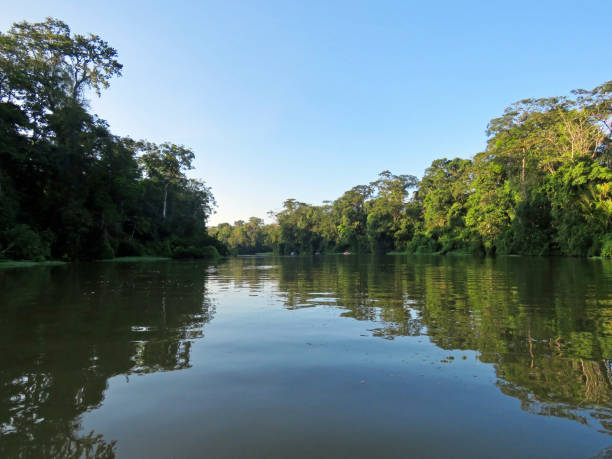 istock costa rica rainforest landscape on the river 1223287189
