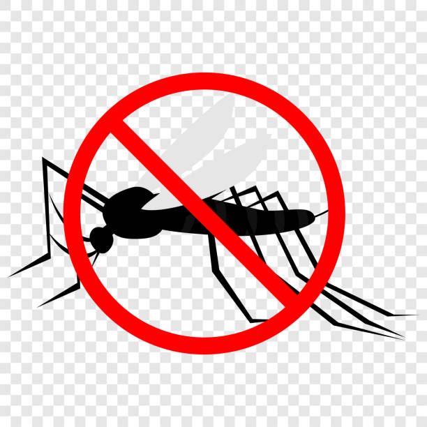 kill mosquito, flat icon design, logo. Pest Control Logo Template. Insect Vector Design. kill mosquito, flat icon design, logo. Pest Control Logo Template. Insect Vector Design. mosquito drawing stock illustrations