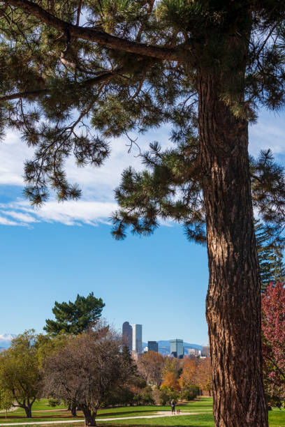 istock Denver, Colorado Skyline in the Fall 1223291707