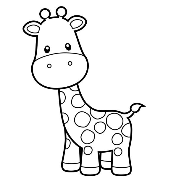 귀여운 기린 색칠 페이지 벡터 그림 에 화이트 - zoo animal safari giraffe stock illustrations