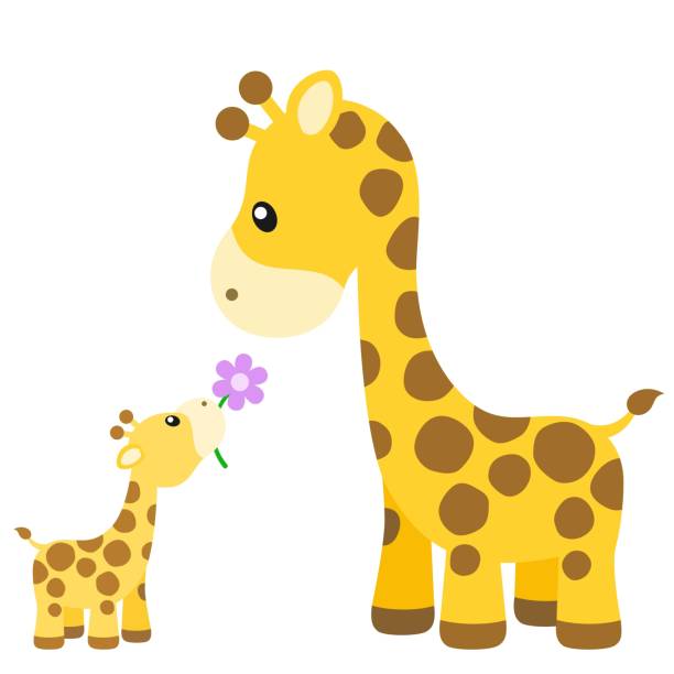 Cute Giraffe with Baby Vector Illustration on White Cute, colorful giraffe parent with child vector illustration. giraffe calf stock illustrations