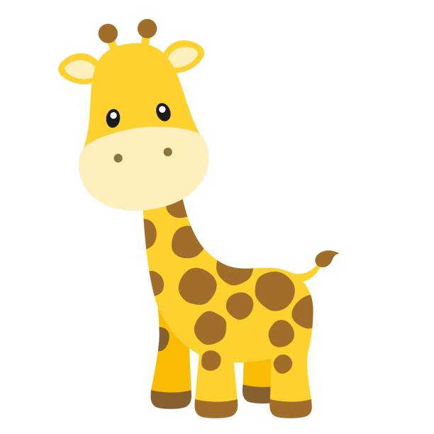 Cute Giraffe Vector Illustration On White Stock Illustration - Download  Image Now - Giraffe Calf, Cute, Drawing - Art Product - iStock