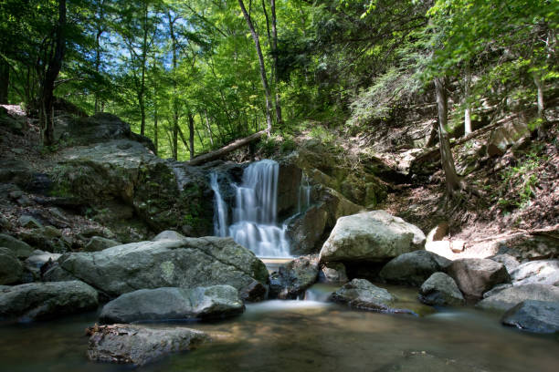 waterfall and wilderness in Chattanooga TN