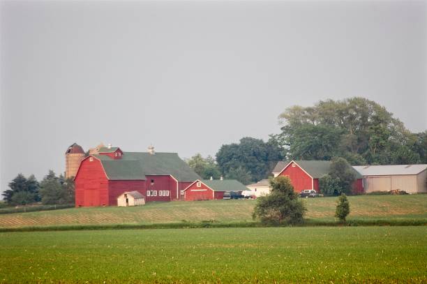 istock A Summer's evening on the farm 1223292520