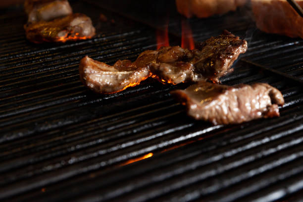 chicken meat cooking on the grill - izgara tavuk