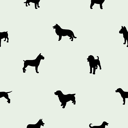 A pattern of many dog breeds