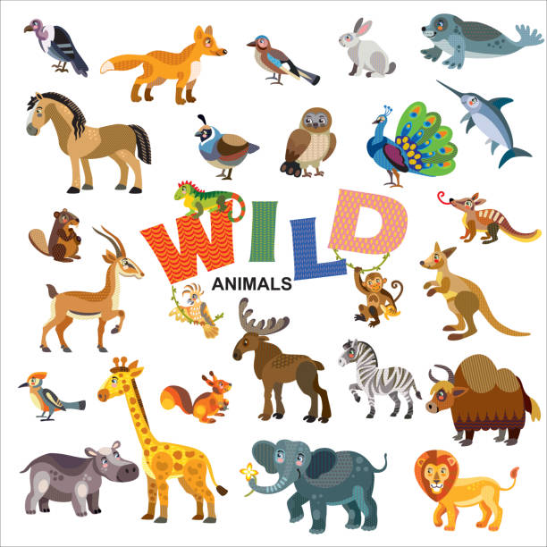 Wild Animals Vector Set Stock Illustration - Download Image Now - Animal  Themes, Beaver, Characters - iStock