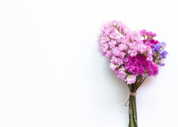 bouquet di fiori di statice viola rosa su sfondo bianco. composizione floreale, lay piatto, vista dall'alto - small bouquet foto e immagini stock