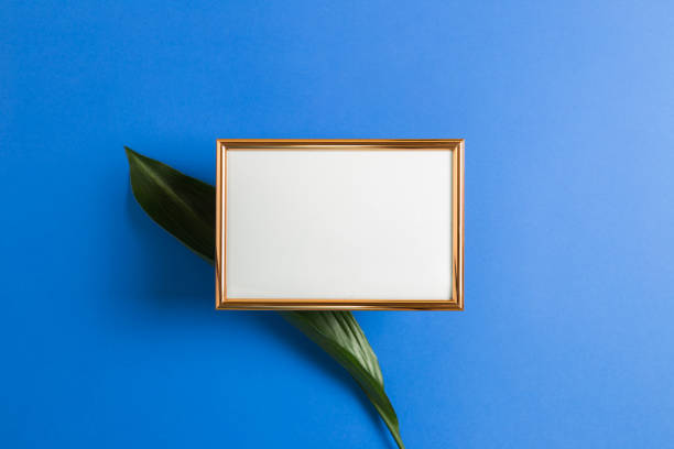 istock Anniversary message letter space. Empty photo frame with green leaf on blue background. top view, copy space 1223296961