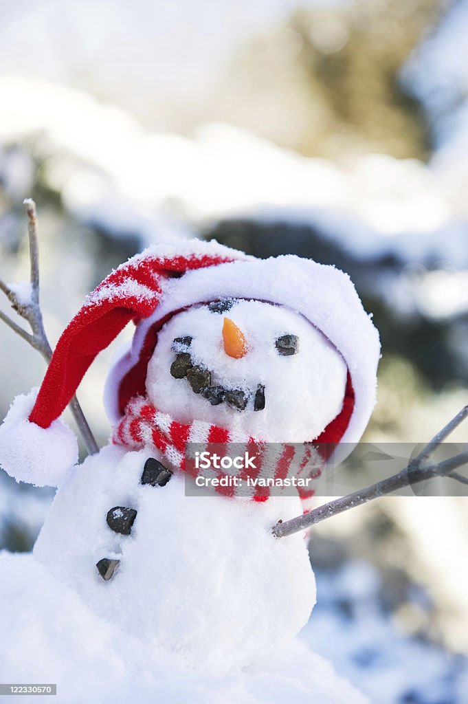 Muñeco de nieve - Foto de stock de Muñeco de nieve libre de derechos