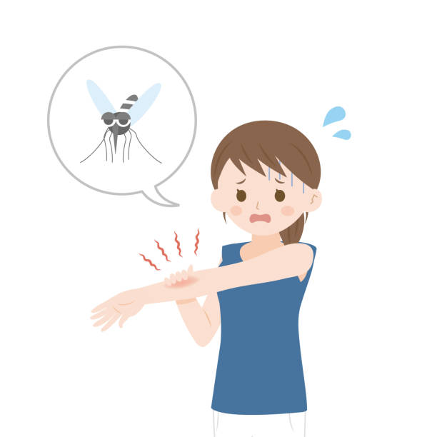 Insect Bite Woman Stock Illustration - Download Image Now - Mosquito Bite,  Scratching, Women - iStock