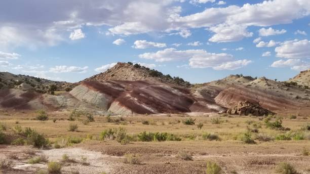 istock Colorful Palesol Desert Landscape 1223307489