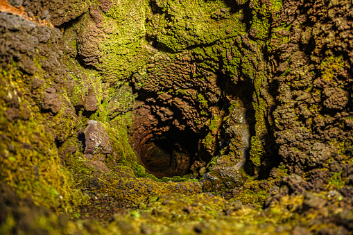 Búsqueda de cuevas tipo árbol de lava photo