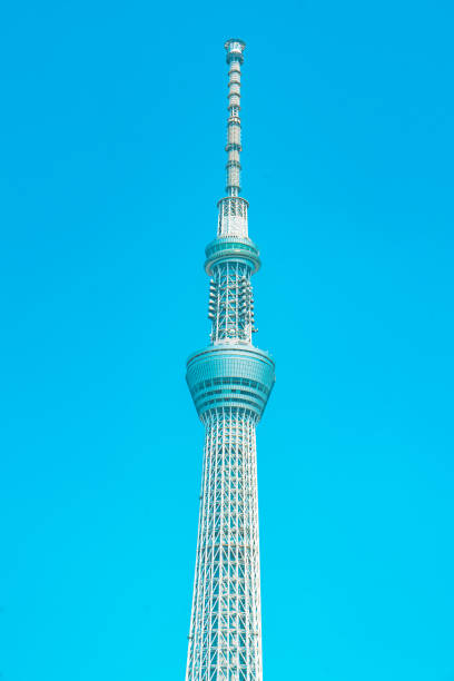 arbre de ciel de tokyo - clear sky vacations vertical saturated color photos et images de collection